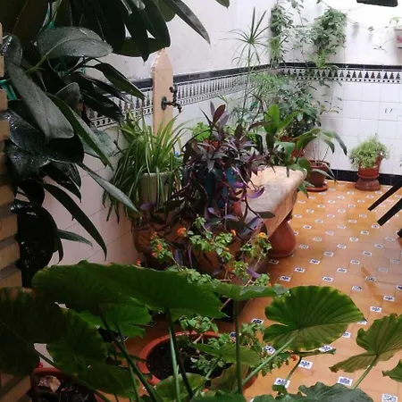 Casa Camino Al Castillo Landhuis *